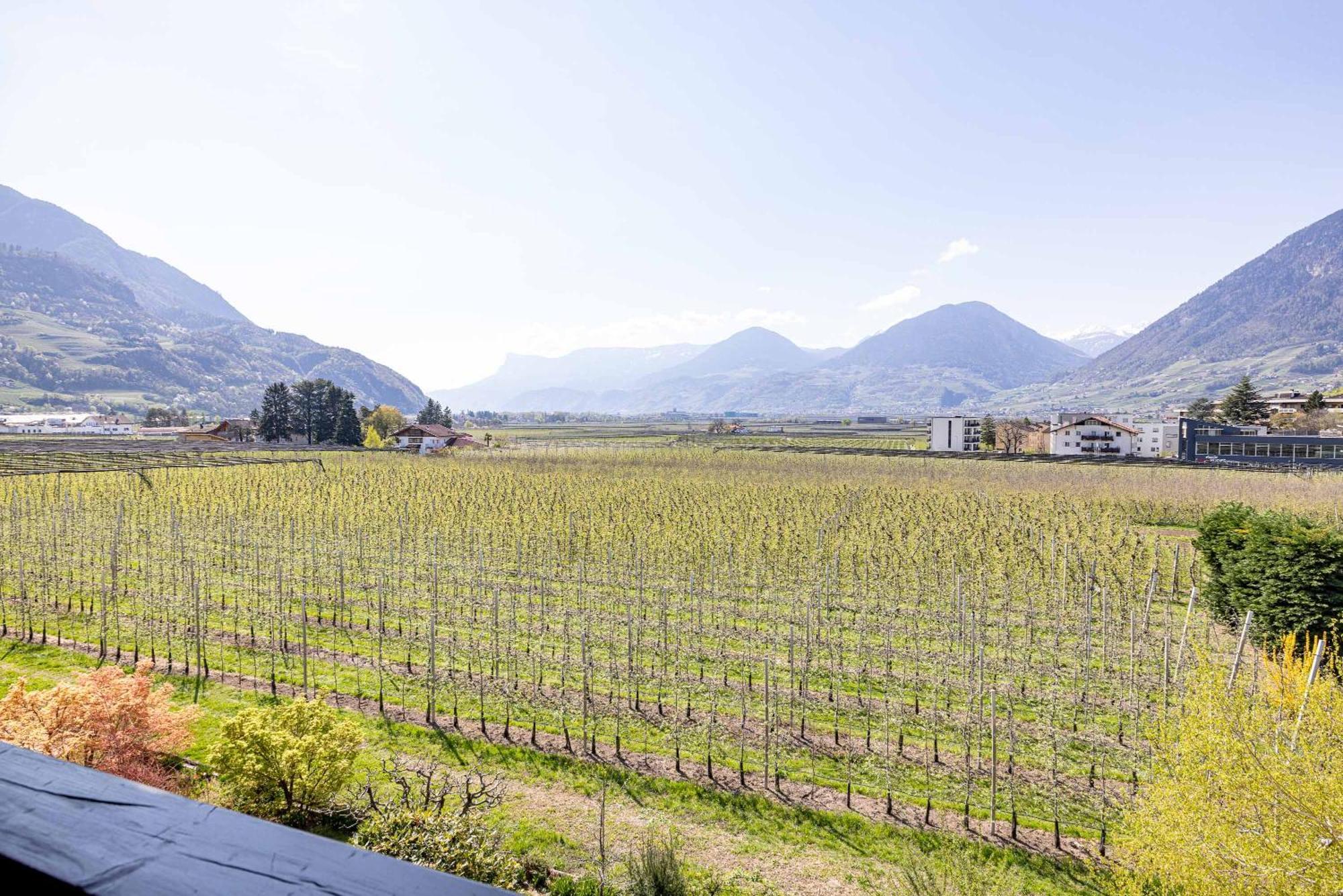 Residence Pollingerhof Merano Exterior foto